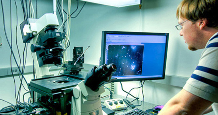 Tobias Falzone, PhD