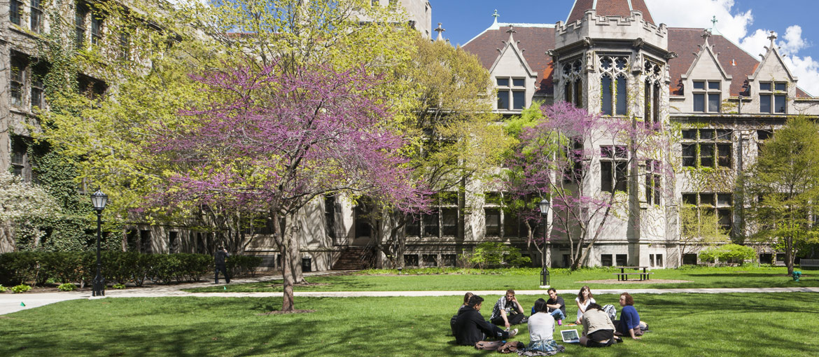 The Division of the Humanities The University of Chicago Campaign