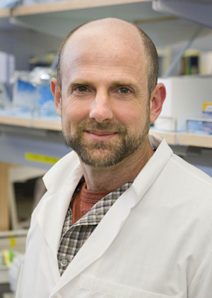 Daniel Zerbino Phd Thesis