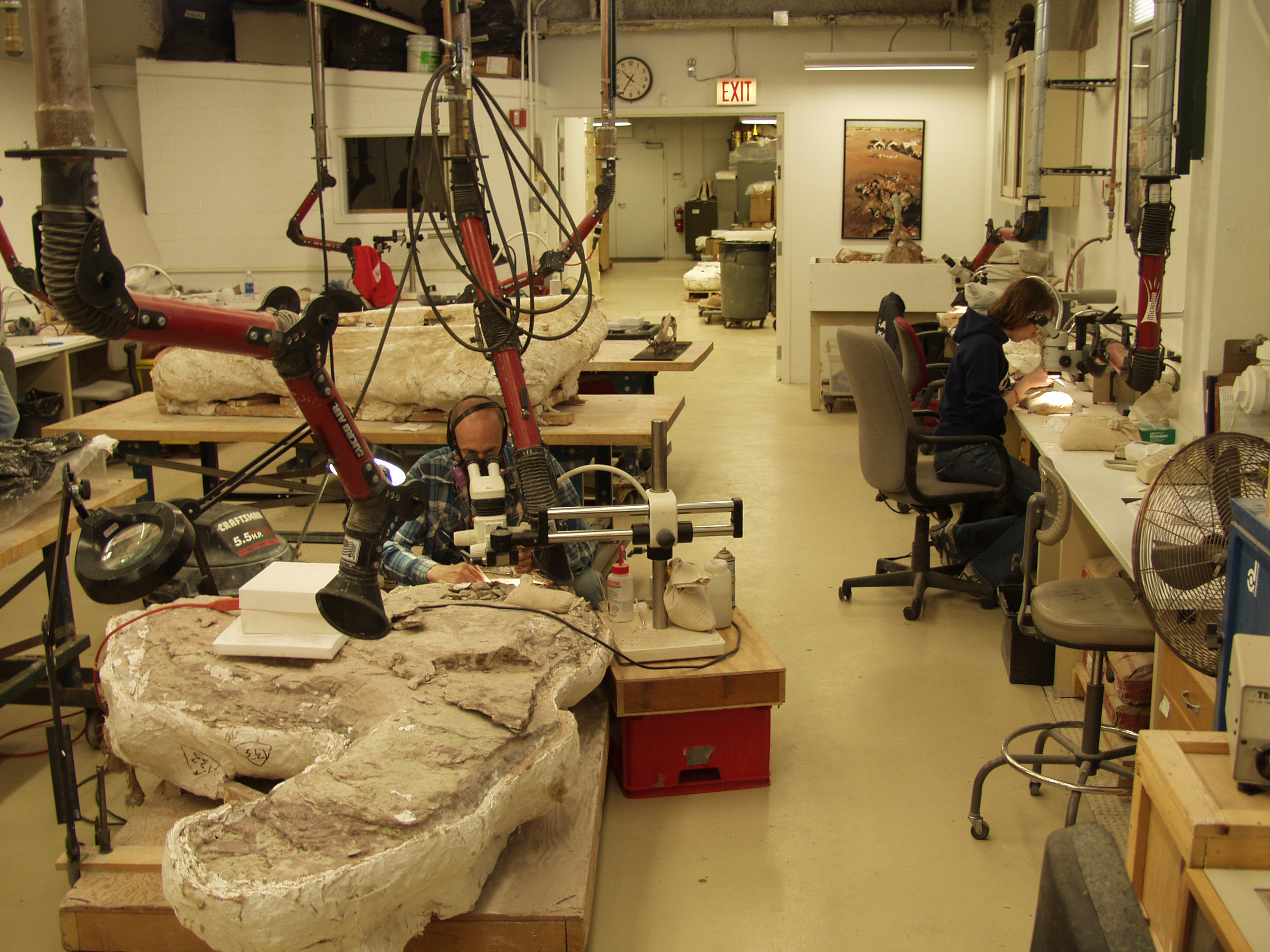 Fossil Lab Gallery Paul Sereno Paleontologist The University of