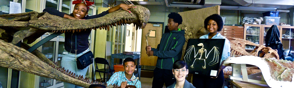 Jr. Biocurator Program Header