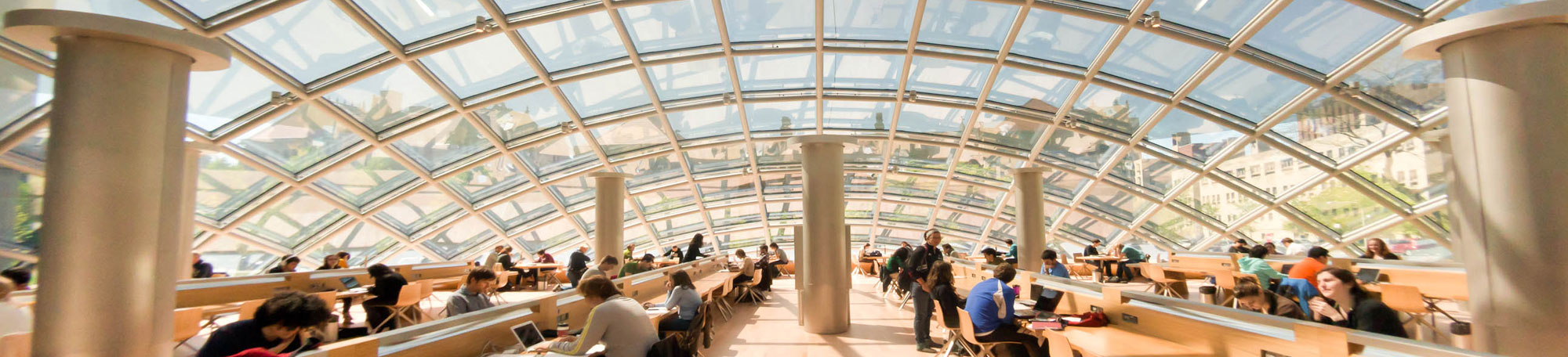 students studying in mansueto library on opening day