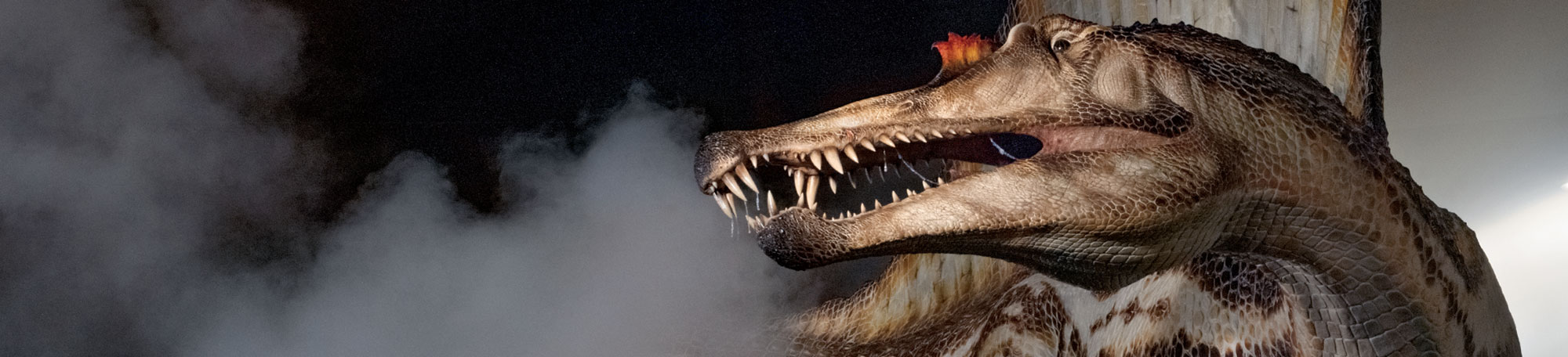 Flesh model of Spinosaurus