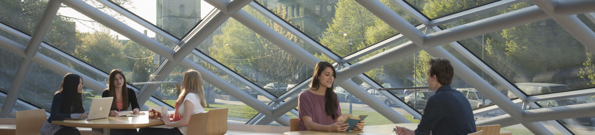 Mansueto Library