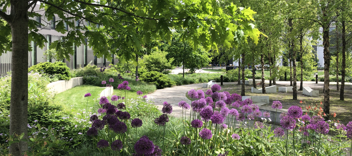 June BG photo