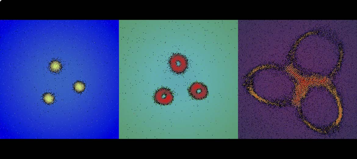 The James Franck Institute The University of Chicago