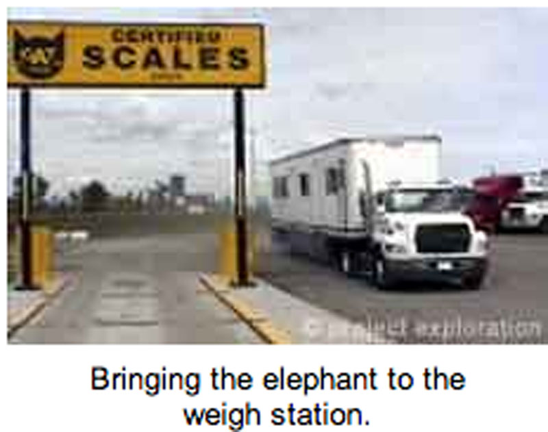 Weigh station for elephant