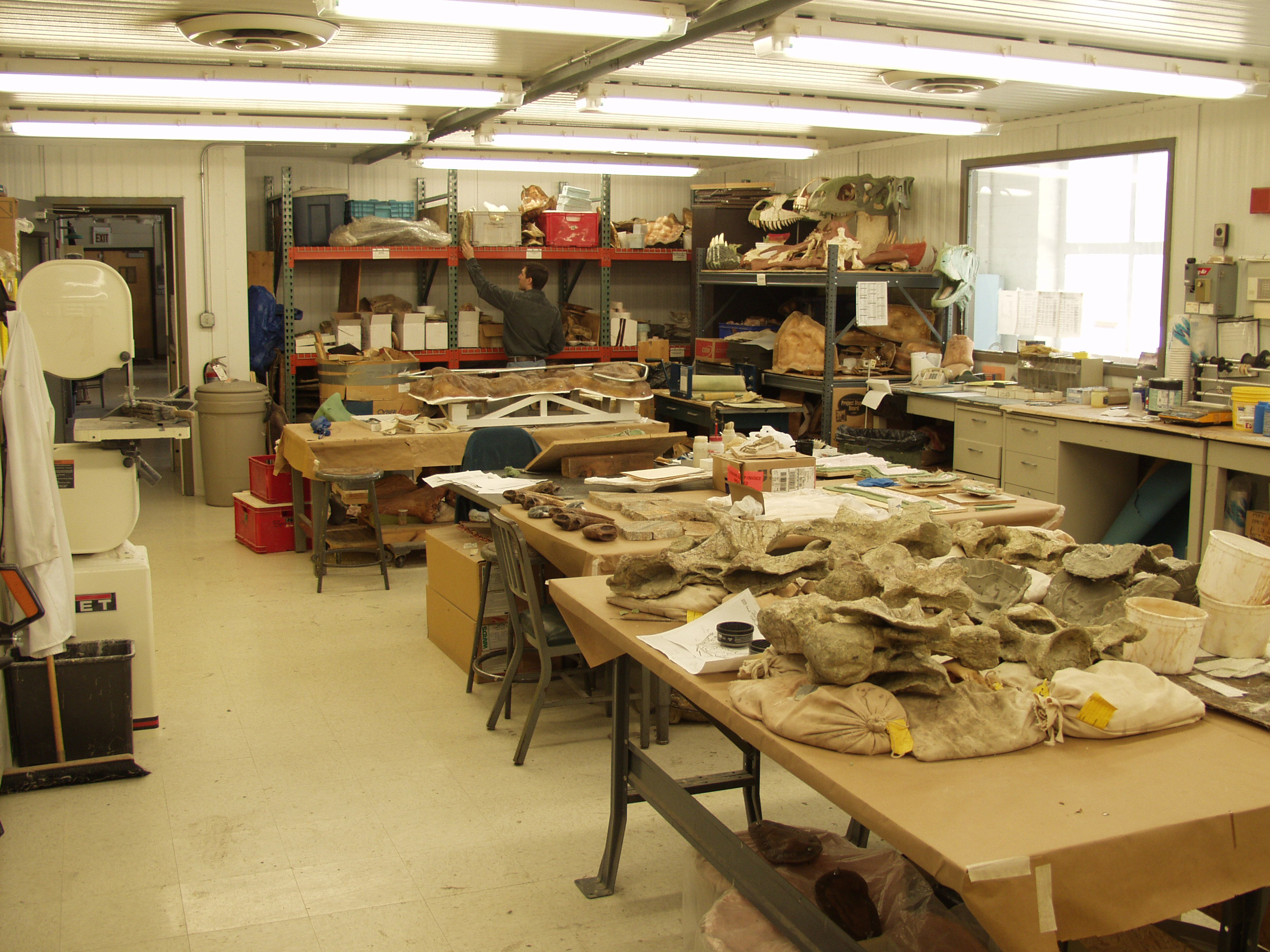 Fossil Lab Gallery Paul Sereno Paleontologist The University of