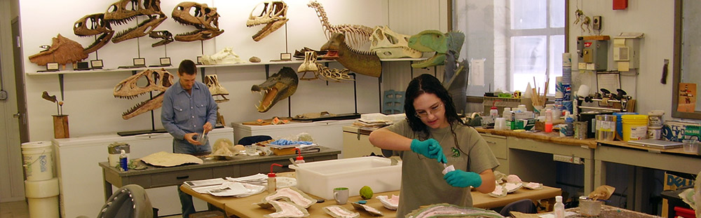 Fossil Lab Header