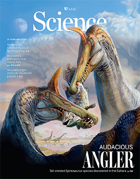New ‘scimitar-crested’ Spinosaurus species discovered in the central Sahara