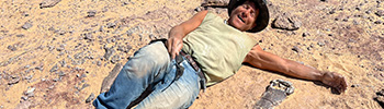 Discovering Dinosaurs Adrift in Seas of Sand