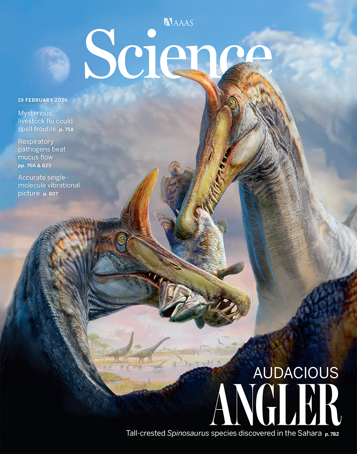 New ‘scimitar-crested’ Spinosaurus species discovered in the central Sahara Image