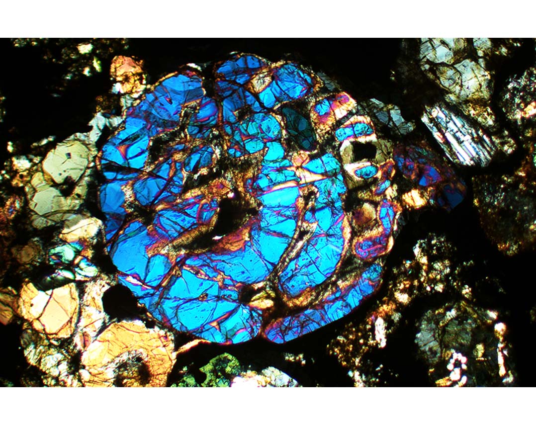 PSD alumna and students win ‘Science as Art’ contest | News | Physical ...