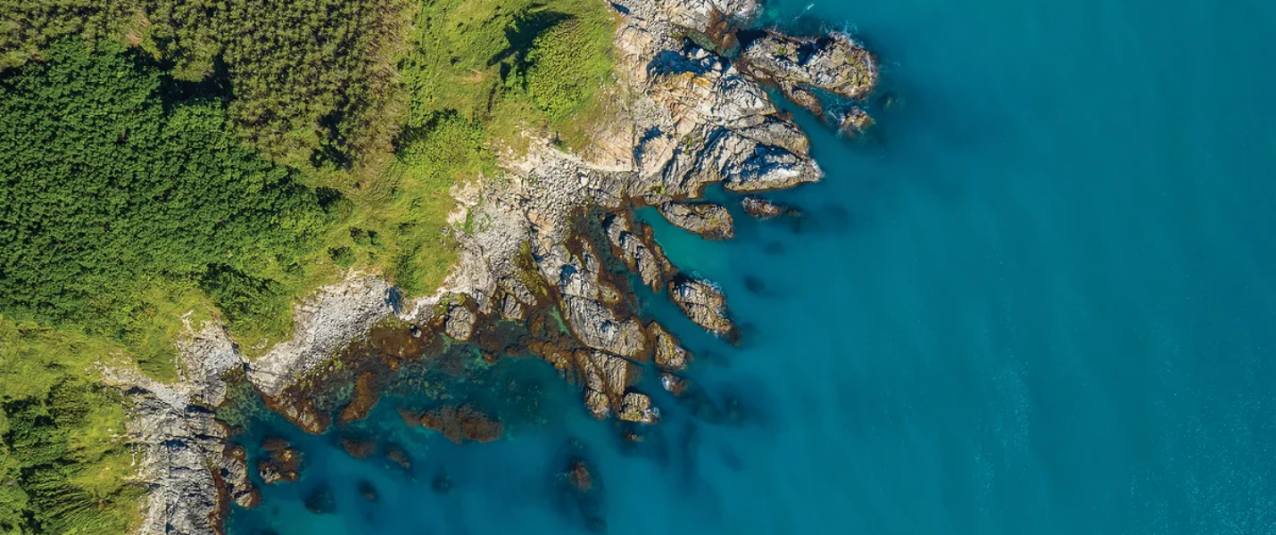 A jagged, rocky curved coastline extends along a green stretch of land, which is textured with trees and plants in an overhead view.