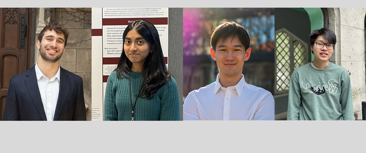 Arthur Costa, Shelley Fernando, Mason McCormack, Vincent Wang