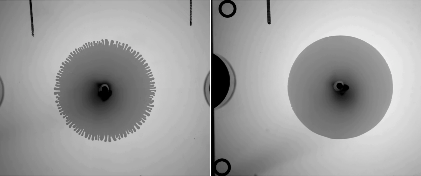 A low viscosity fluid displaces a high viscosity fluid under stationary conditions (left). The application of shear (right) delays the onset and slows the growth of fingers.