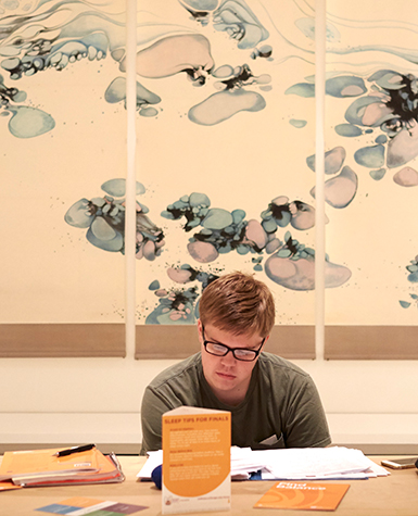 Student studying in front of art in the Smart's galleries