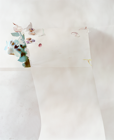 A photographic collage of remnants of a meal