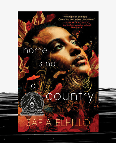 Book cover for A Home is Not A Country