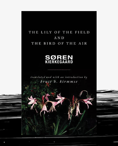 Book cover for The Lily of the Field and the Bird of the Air 