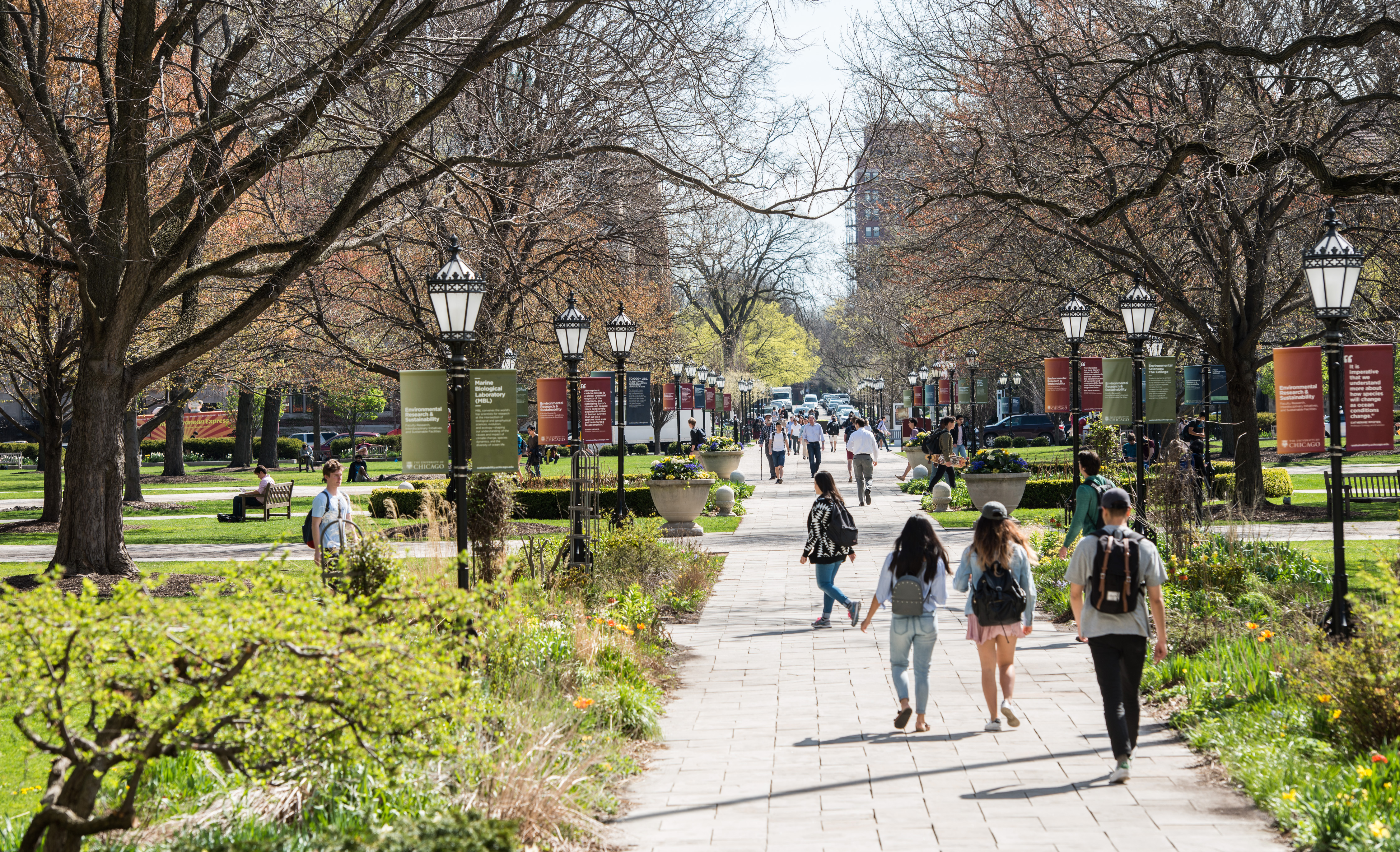 UChicago Campus